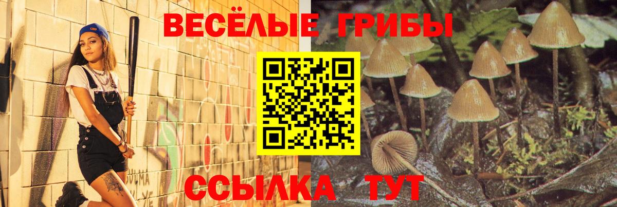 Южно-Сахалинск  Галлюциногенные грибы мухоморы  Вход с VPN 