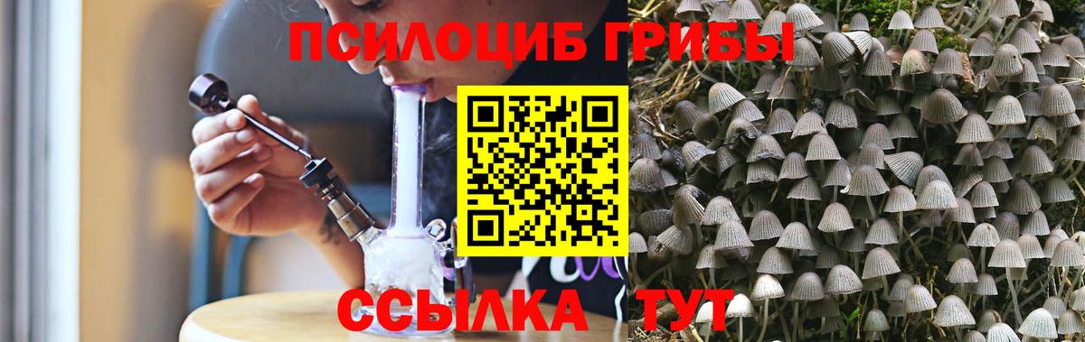 Псилоцибиновые грибы GOLDEN TEACHER Южно-Сахалинск